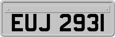 EUJ2931