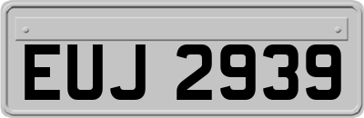 EUJ2939
