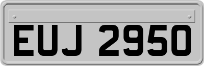 EUJ2950