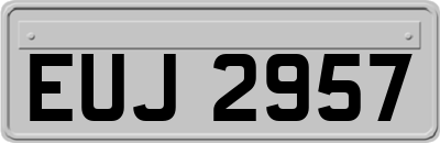 EUJ2957