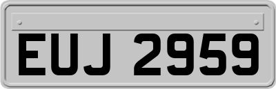 EUJ2959