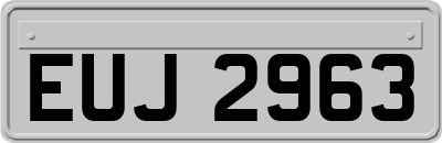 EUJ2963