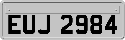 EUJ2984