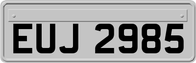 EUJ2985