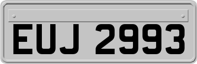 EUJ2993
