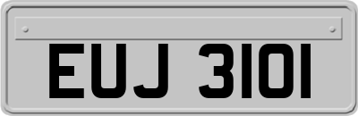 EUJ3101