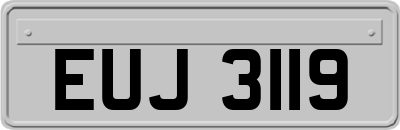 EUJ3119