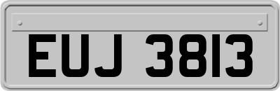 EUJ3813