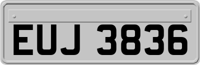EUJ3836