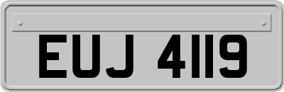 EUJ4119