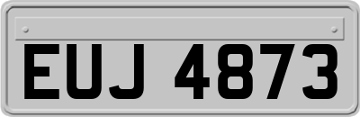 EUJ4873