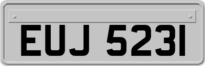 EUJ5231