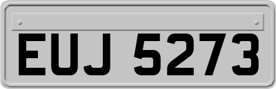 EUJ5273