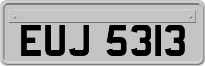 EUJ5313