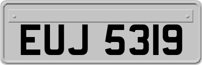 EUJ5319