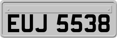 EUJ5538