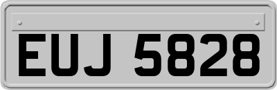 EUJ5828