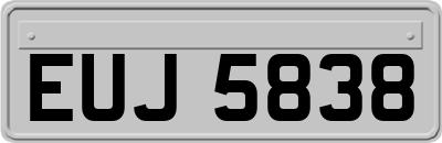 EUJ5838