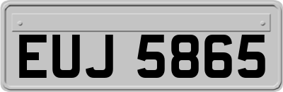 EUJ5865