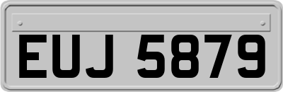 EUJ5879