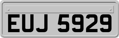 EUJ5929