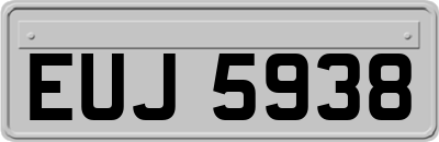 EUJ5938