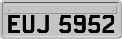 EUJ5952