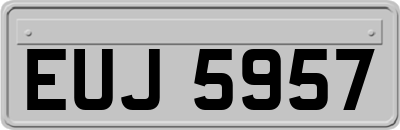 EUJ5957