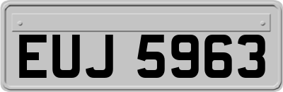 EUJ5963