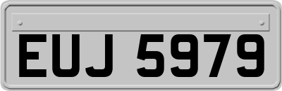 EUJ5979