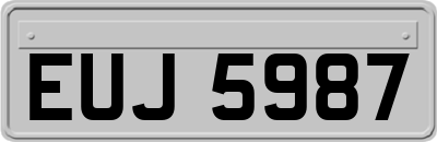 EUJ5987
