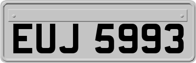 EUJ5993