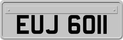 EUJ6011