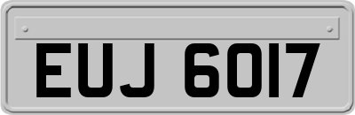 EUJ6017