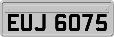 EUJ6075