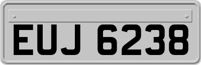 EUJ6238