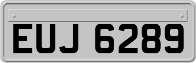 EUJ6289