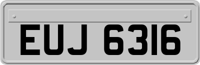 EUJ6316