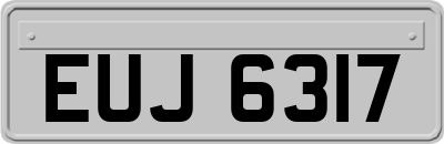 EUJ6317