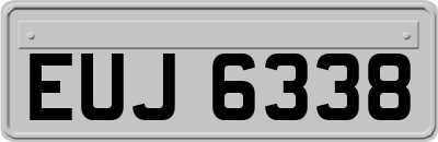 EUJ6338