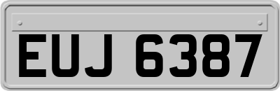 EUJ6387