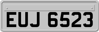EUJ6523