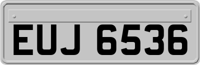 EUJ6536