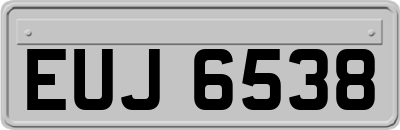 EUJ6538