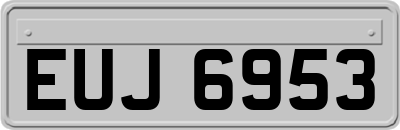 EUJ6953