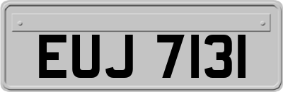 EUJ7131