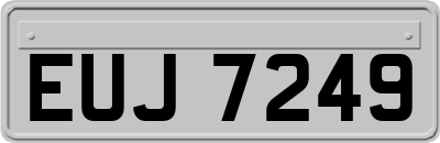 EUJ7249