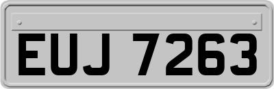 EUJ7263