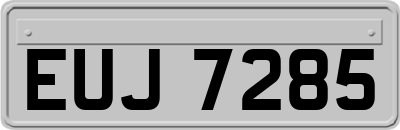 EUJ7285