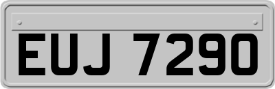 EUJ7290